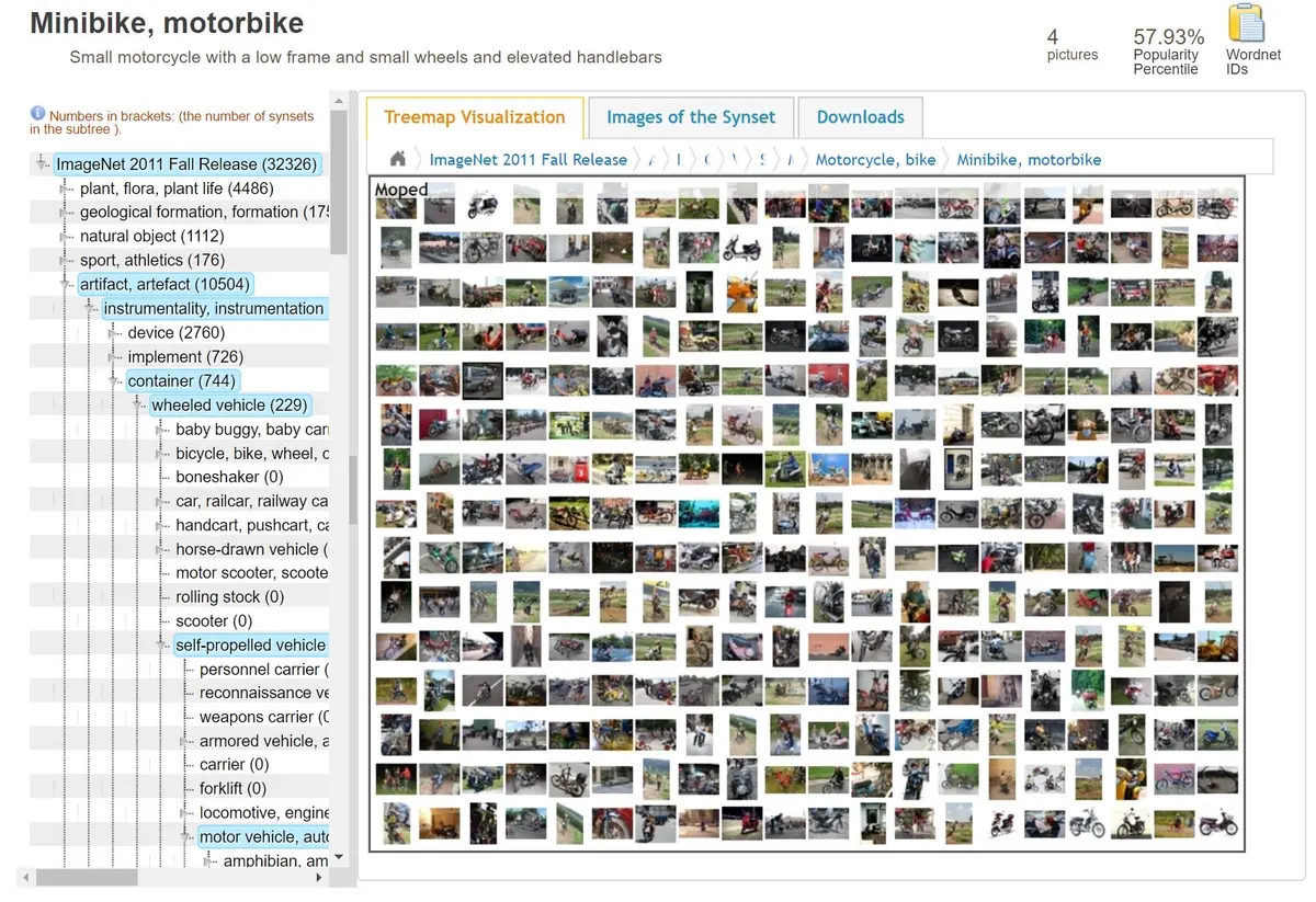 AlexNet wins the ImageNet contest