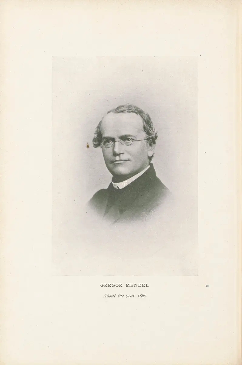 Mendel discovers the rules of heredity